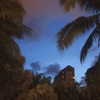 lizakovalenkoo Altpins Profile Picture