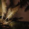 lizakovalenkoo Altpins Profile Picture