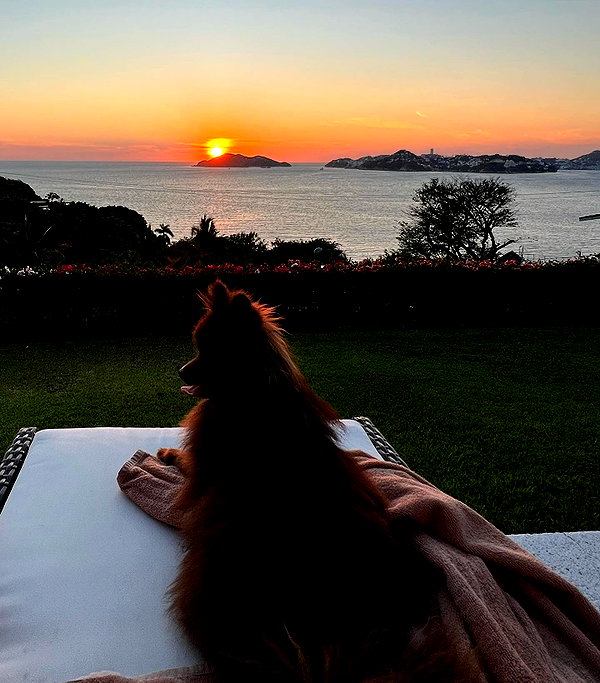 lizakovalenkoo instagram image archive image