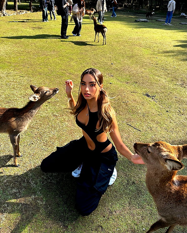 lizakovalenkoo instagram image archive image