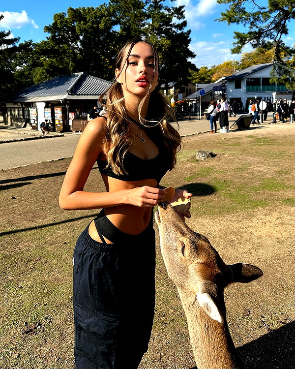 lizakovalenkoo instagram image archive image