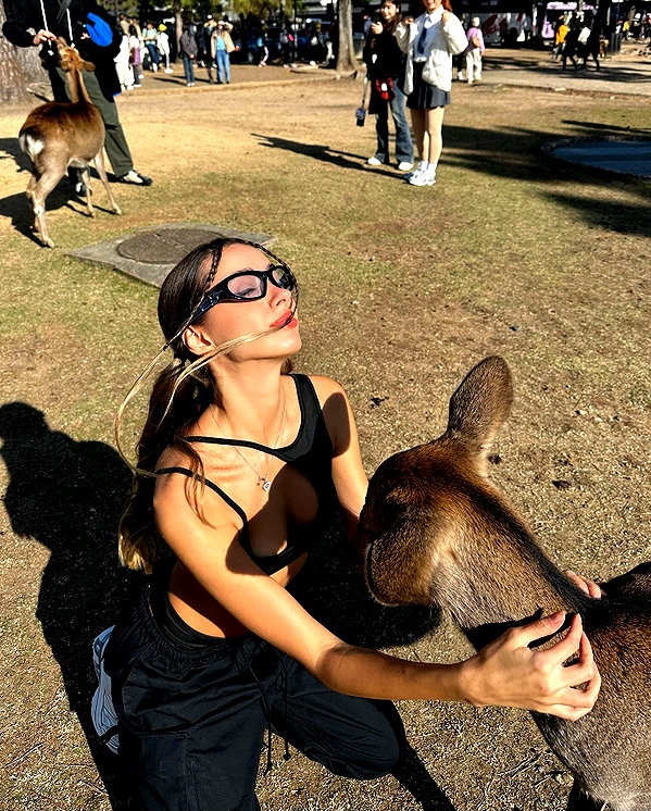 lizakovalenkoo instagram image archive image