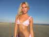 lizrrossi Altpins Profile Picture