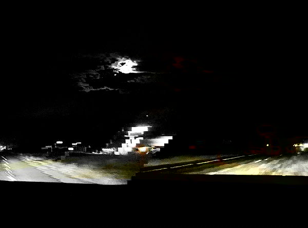 llilbby llilbby archive image