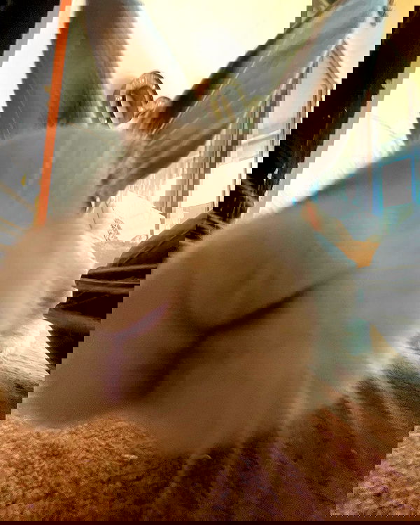 llilbby llilbby archive image