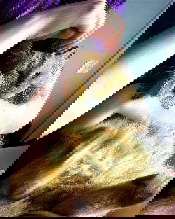 llilbby llilbby archive image