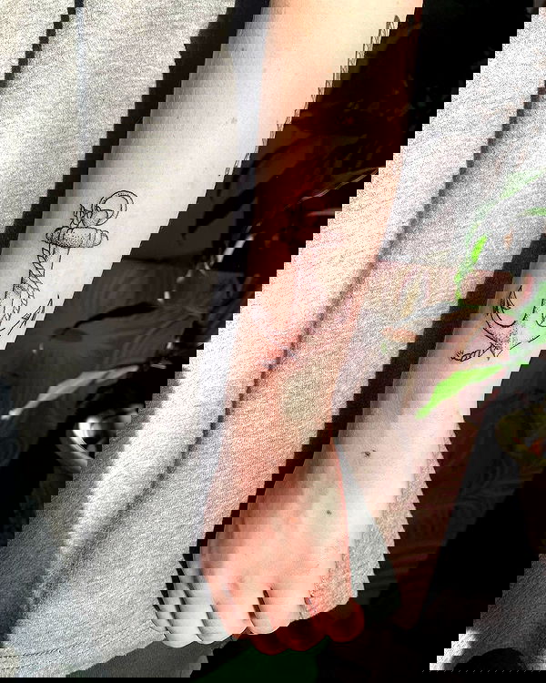 llilbby llilbby archive image