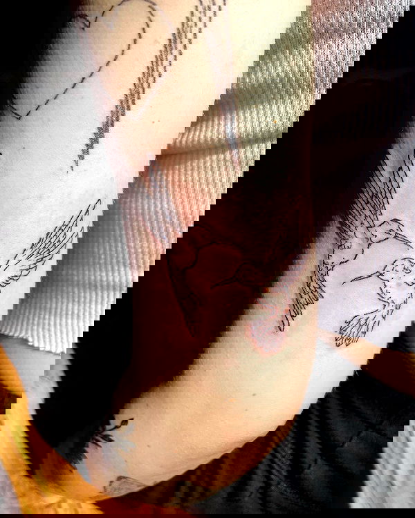 llilbby llilbby archive image