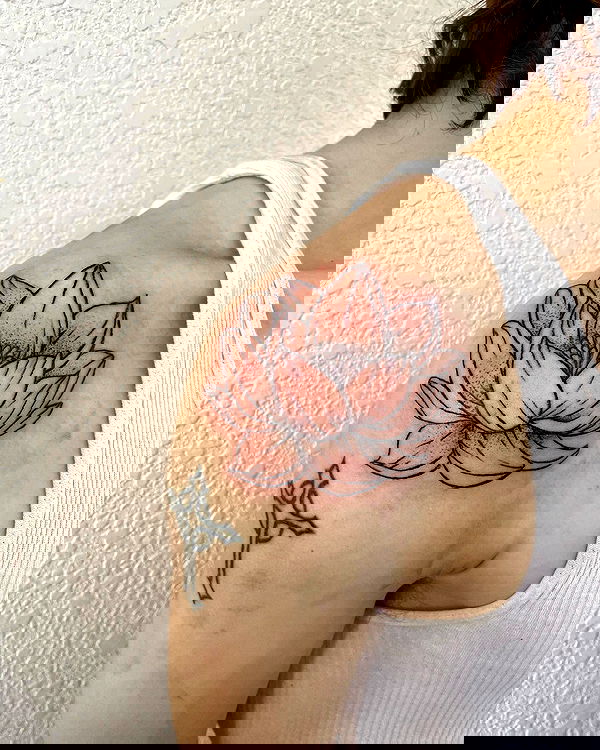 llilbby llilbby archive image