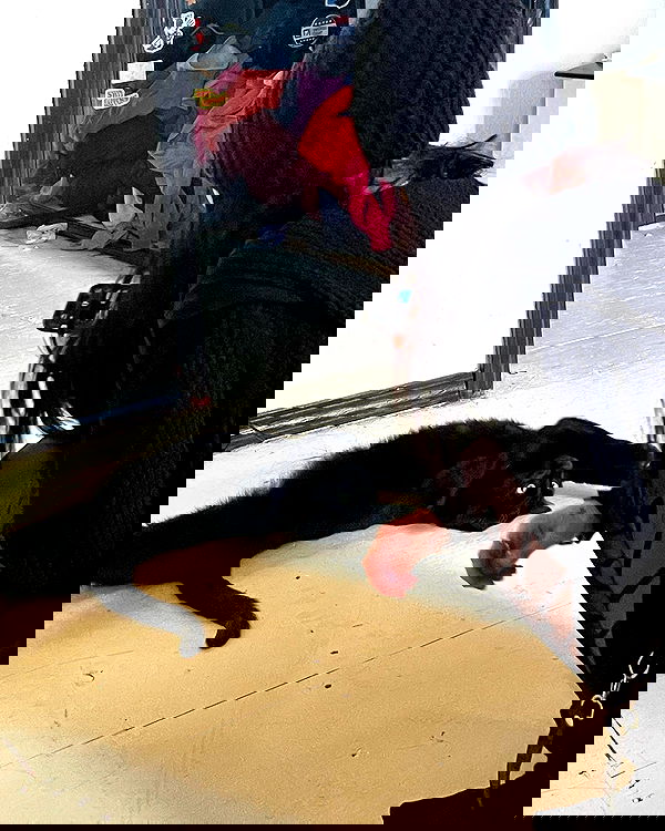 llilbby llilbby archive image