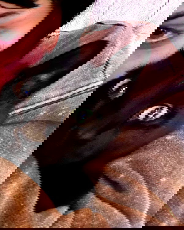 llilbby llilbby archive image