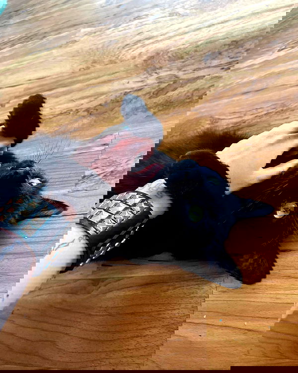 llilbby llilbby archive image