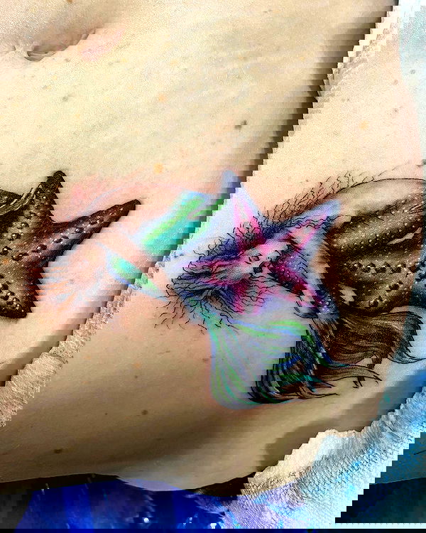 llilbby llilbby archive image