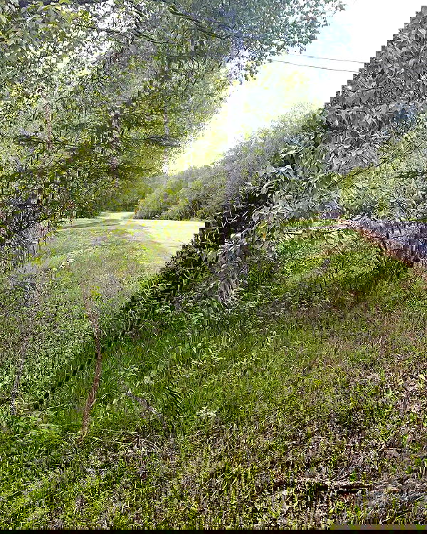 llilbby llilbby archive image