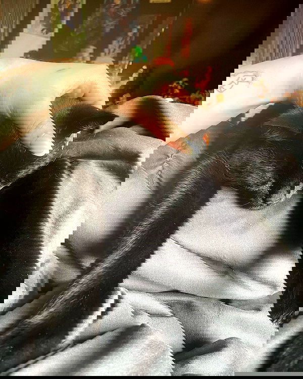 llilbby llilbby archive image