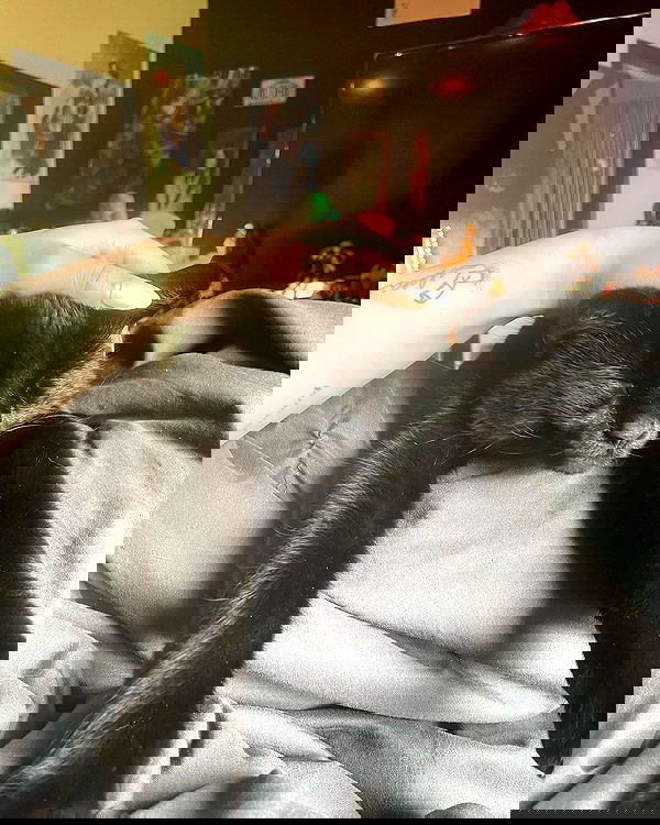 llilbby llilbby archive image