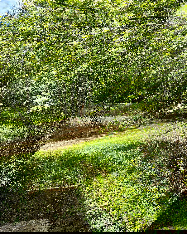 llilbby llilbby archive image