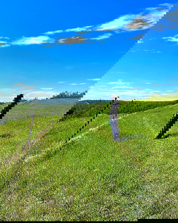 llilbby llilbby archive image