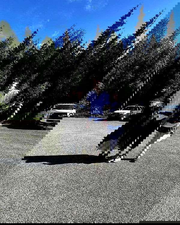 llilbby llilbby archive image