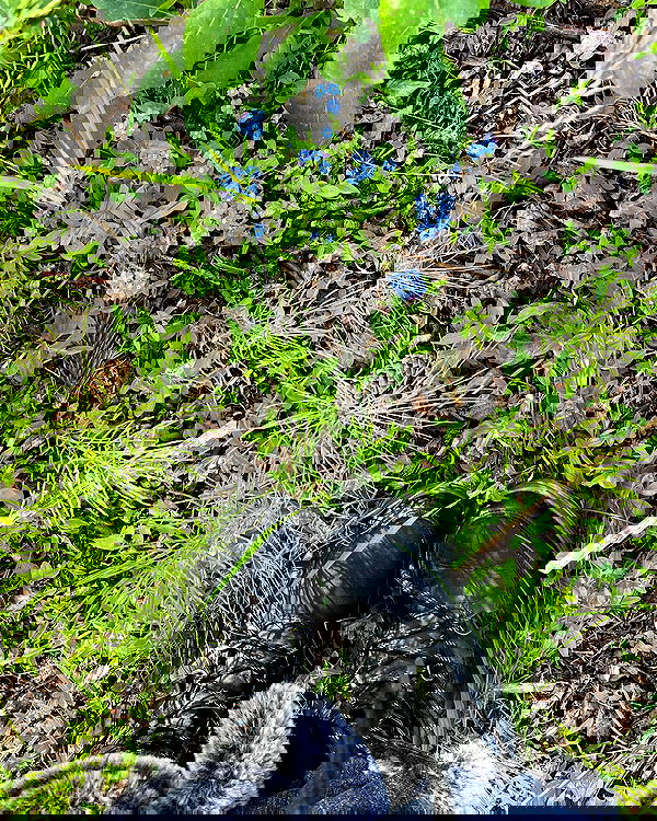 llilbby llilbby archive image