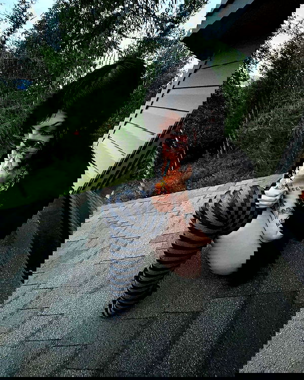 llilbby llilbby archive image