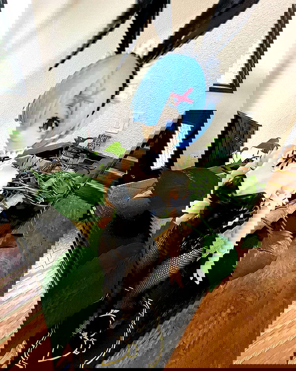 llilbby llilbby archive image