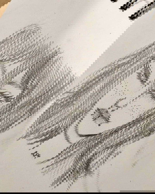 llilbby llilbby archive image