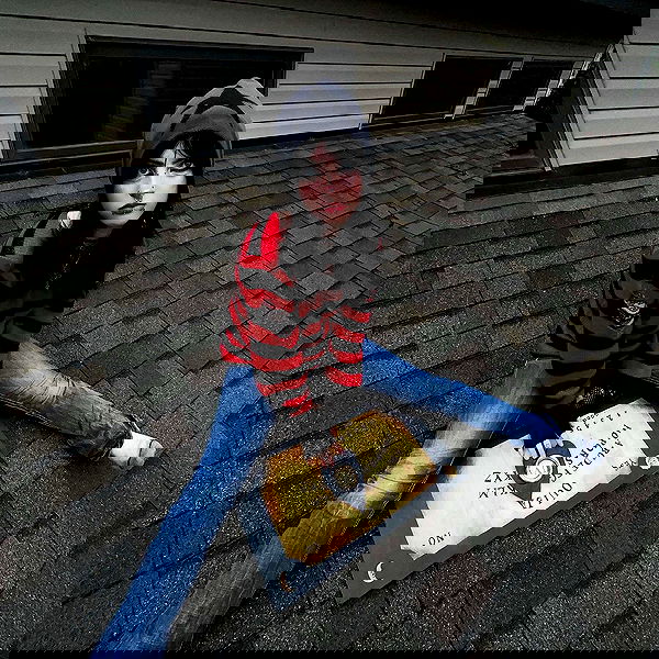 llilbby llilbby archive image