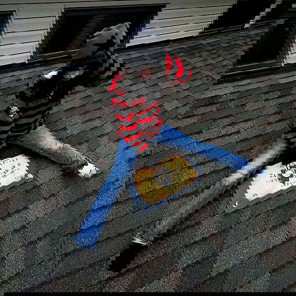 llilbby llilbby archive image