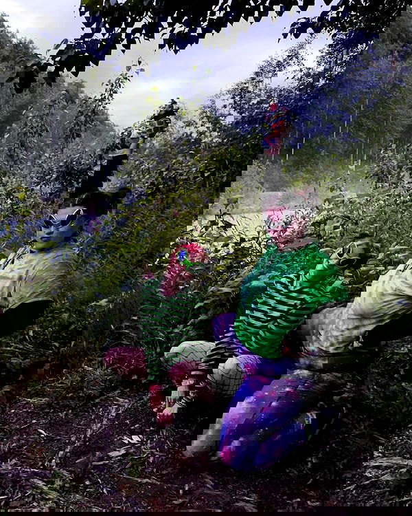 llilbby llilbby archive image