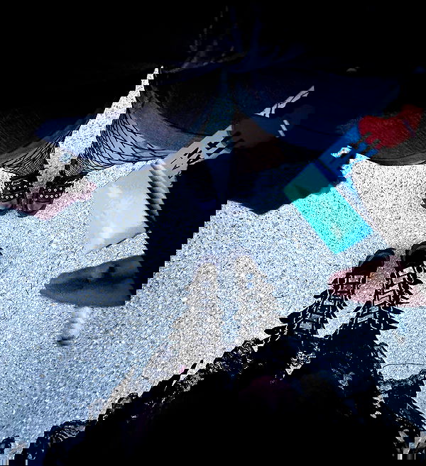 llilbby llilbby archive image