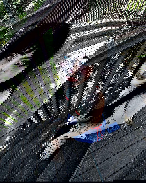 llilbby llilbby archive image