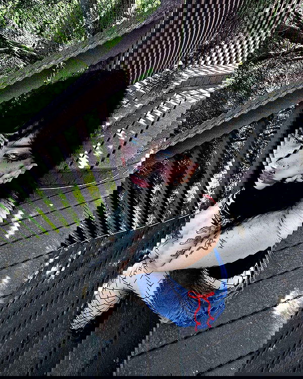 llilbby llilbby archive image