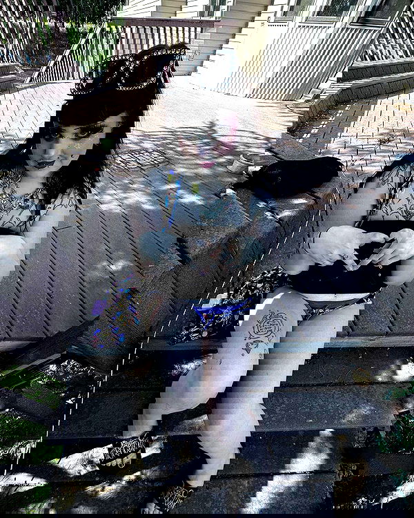 llilbby llilbby archive image