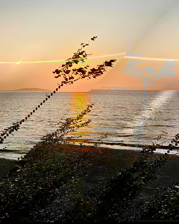 llilbby llilbby archive image