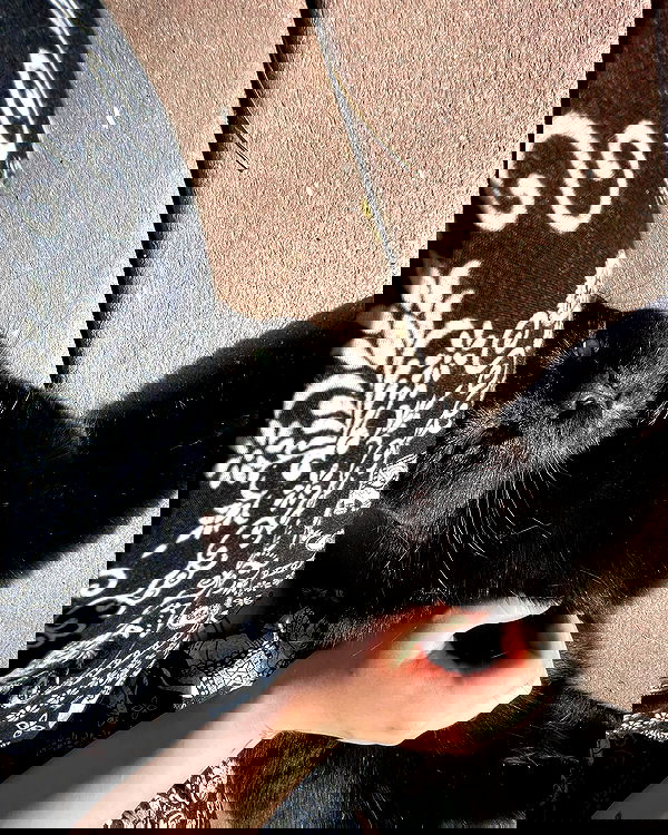 llilbby llilbby archive image