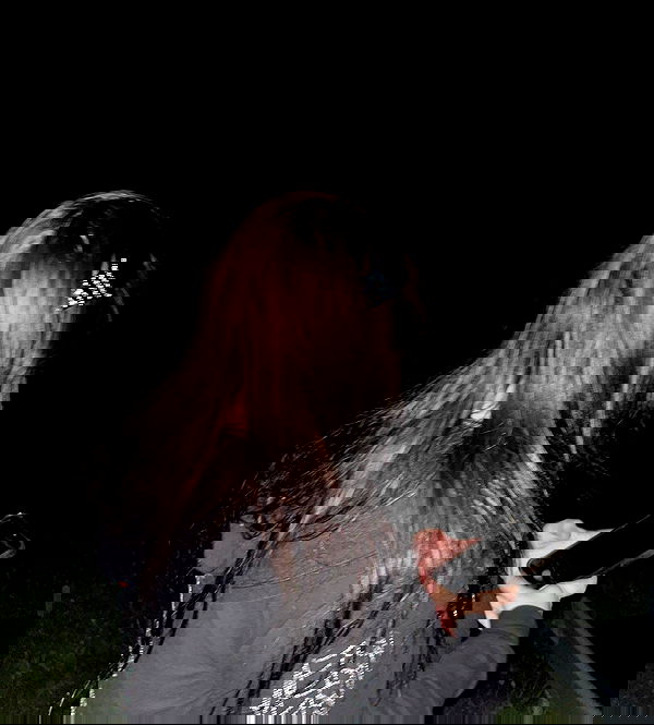 llilbby llilbby archive image