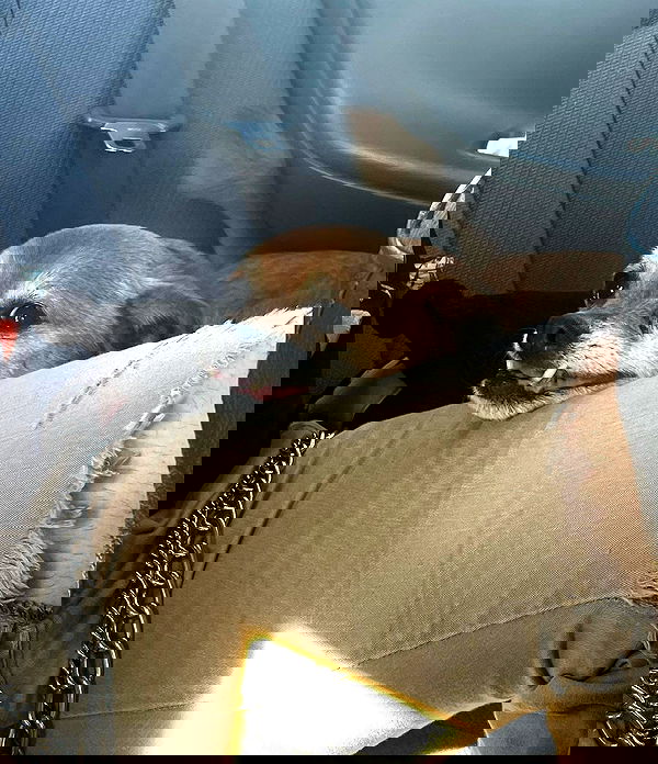 llilbby llilbby archive image