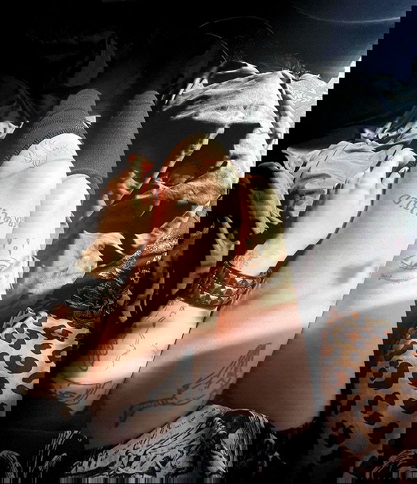 llilbby llilbby archive image