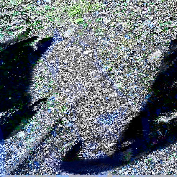 llilbby llilbby archive image