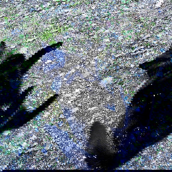 llilbby llilbby archive image