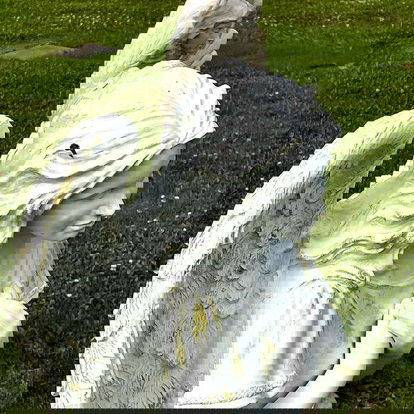 llilbby llilbby archive image