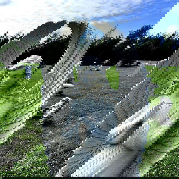 llilbby llilbby archive image