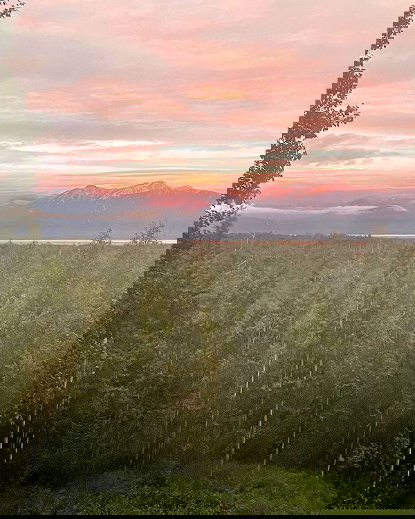 llilbby llilbby archive image