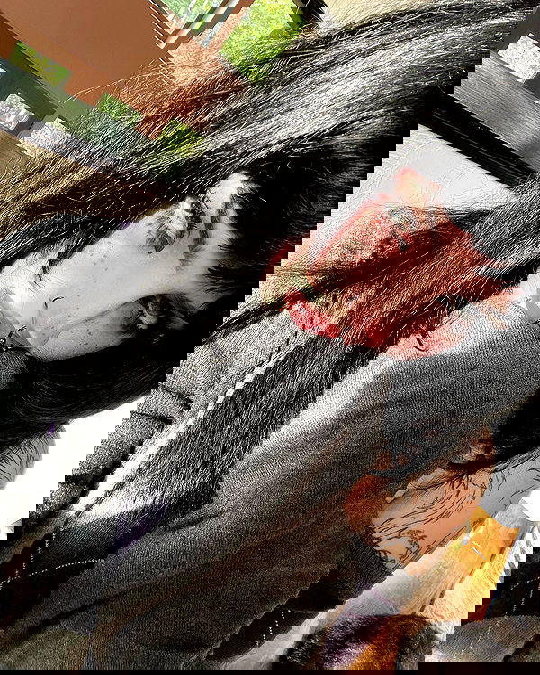 llilbby llilbby archive image