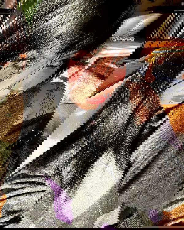 llilbby llilbby archive image