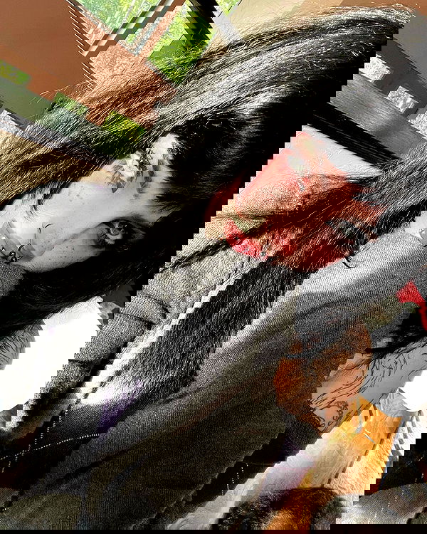 llilbby llilbby archive image