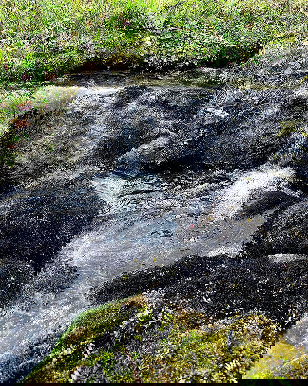 llilbby llilbby archive image