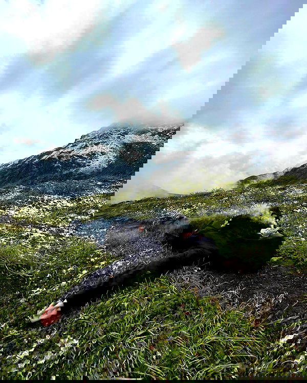 llilbby llilbby archive image