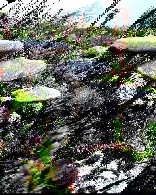 llilbby llilbby archive image